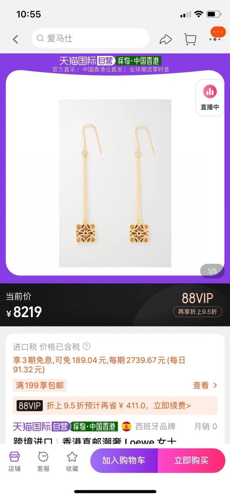 Loewe Earrings